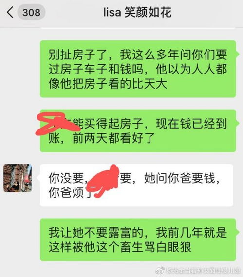 网络专家告诉你：巧妙利用前妻儿媳名义贷款购车的风险与对策