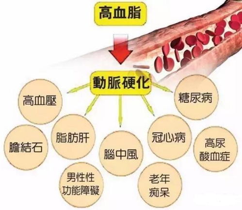 高血脂患者在服用他汀时需注意哪些联合用药情况，是否会增加不良反应?