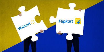 印度指控电商平台Flipkart：涉嫌反垄断违法行为？

这是一个相对直接且准确的标题，包含所有重要信息。然而，如果我需要更具体的语言或表达方式来提供优化建议，欢迎随时告诉我。