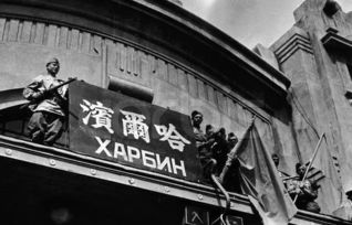 网路新宠《哈尔滨1944》引热议：首播狂揽卫冕冠军，《谍战》盛世爆发