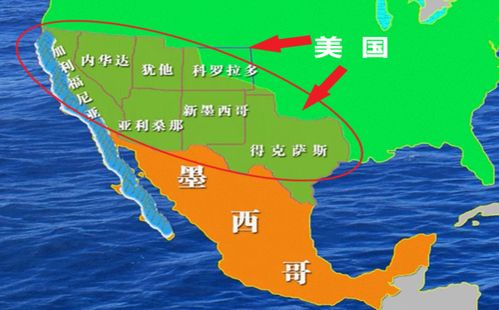 立陶宛总统候选人回应克里米亚主权问题：其基于领土完整与国际法的立场得到认可