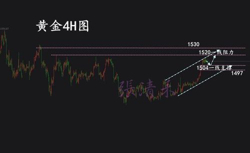 黄金石油进口加急：中国正在如何应对危机和战略部署