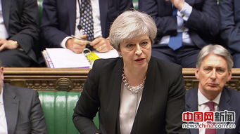 英国前首相忘记带身份证遭拒投票站外：新闻分析与启示