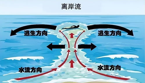 注意：勿被海浪下的“隐形杀手”吓倒，学会随波逐流保护生命安全