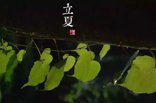 《明日立夏：如何在养生中把握好清晨和傍晚的黄金时段》