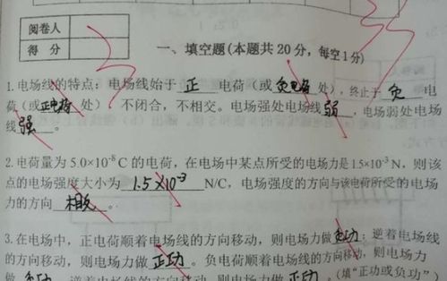 全国知名职业技能幼儿园火爆全网，多地家长带娃陪读，报名瞬间火出国门