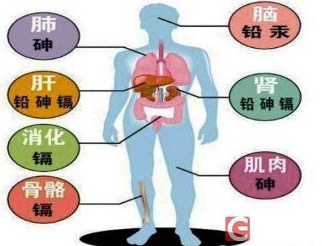 清除‘垃圾蛋白’，治愈渐冻症的新疗法展示在最新科学进展中