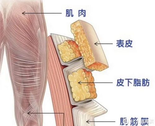 高效快捷：了解并正确使用筋膜枪的三大关键要点