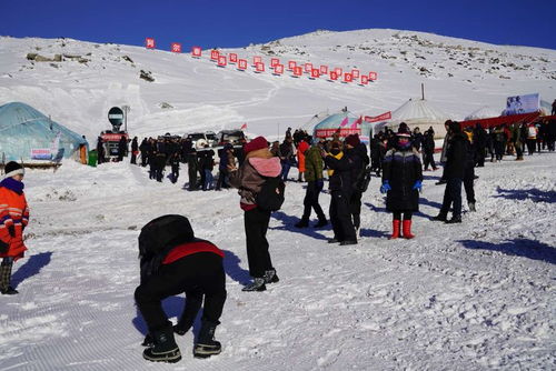 新疆可可托海滑雪场男子因滑雪意外致死 | 医疗紧急情况追踪报道