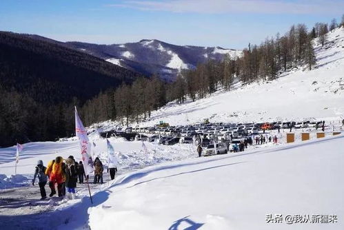 新疆可可托海滑雪场男子因滑雪意外致死 | 医疗紧急情况追踪报道