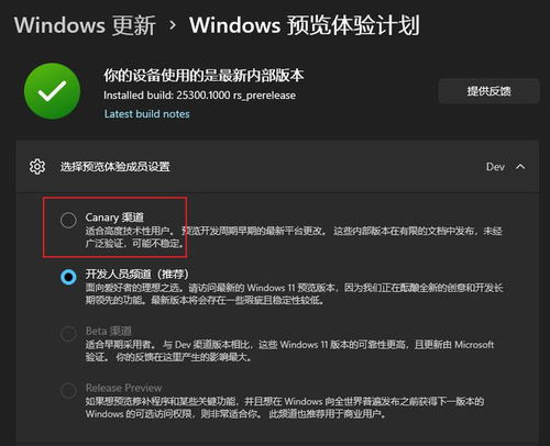 微软决定暂不开发满足Canary频道的Windows版本，原因与进展可关注