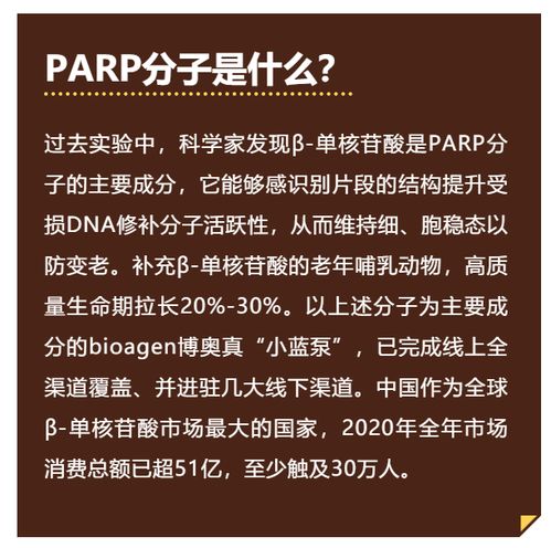 AI赛道爆发的背后：大厂工程师的心声：快速开发与准确性问题