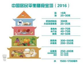 平衡营养：关注每日豆类摄入，提升健康水平