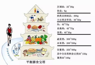 平衡营养：关注每日豆类摄入，提升健康水平