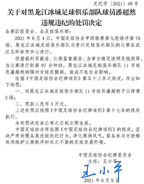 辽宁球迷因攻击广东球员被处罚，核减罚款5万，详情请看公告