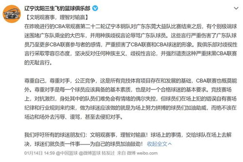 辽宁球迷因攻击广东球员被处罚，核减罚款5万，详情请看公告