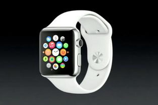 详解Apple Watch砍仓13%，巴菲特称其将长期投资，出售与税收相关