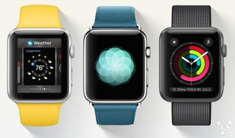 详解Apple Watch砍仓13%，巴菲特称其将长期投资，出售与税收相关