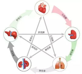 运动与心脏健康的微妙关系：这个结论并非绝对