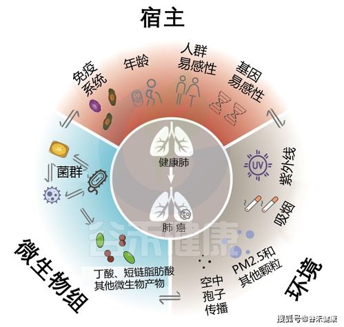 肠道菌群：七问与小的真正作用?