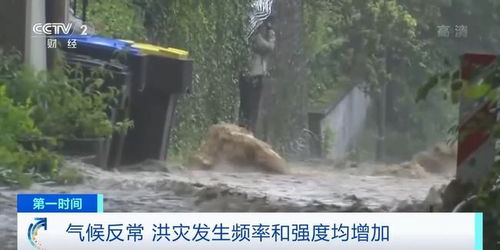 全球多地暴雨成灾：巴、坦等地灾害频发，气候变化的严峻现实再次警示我们需关注与应对