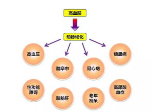 胆固醇与血脂的微妙平衡：这6件事易导致高血脂风险

关注血脂问题，这些事可能导致高血脂