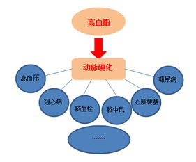 胆固醇与血脂的微妙平衡：这6件事易导致高血脂风险

关注血脂问题，这些事可能导致高血脂