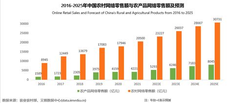 农村数字经济的驱动增长：现状与前景分析