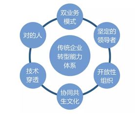 关注消费品品牌企业的数字化转型挑战与关键：深入了解并应对策略