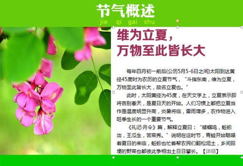 深入解析：立夏时节如何进行二十四节气养生?