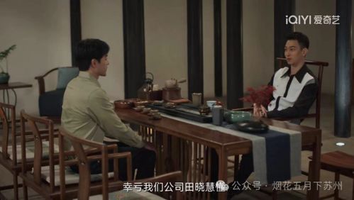 隐藏在繁华背后的狡猾手法：沈婧揭示《城中之城》真相，揭开吴显龙的阴谋