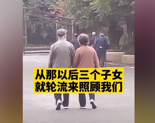 胖猫事件：众网友争议重重，亲姐发帖呼吁网友查阅更多证据