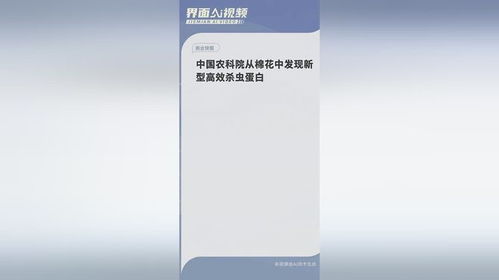 中国农科院揭示棉花新武器：新型高效杀虫蛋白的研究成果显著