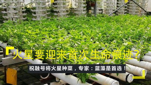 新技术助力提升火星种菜的产量，以满足未来生存需求