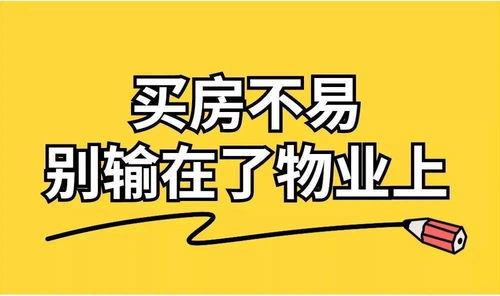 日复一日的日常：误解与创新交融，大冒险才有趣！