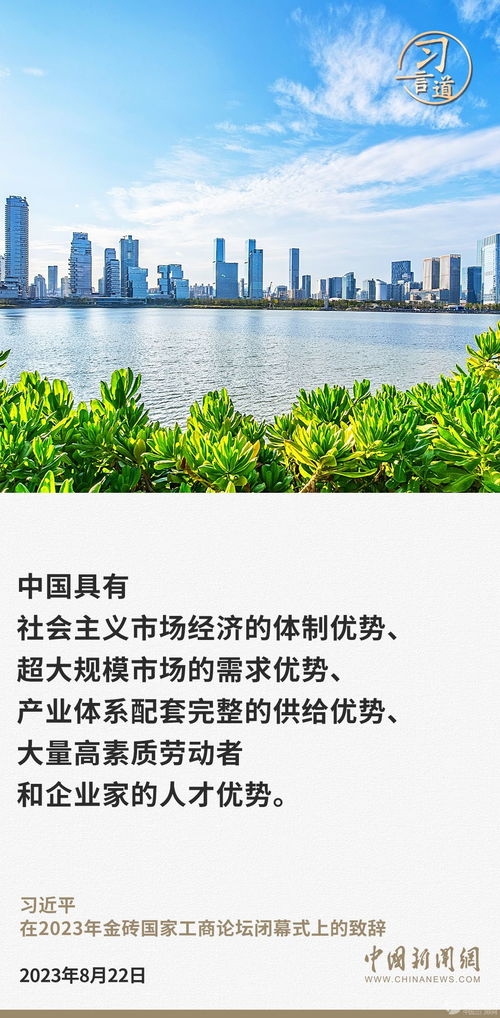 中国经济的活力引擎：中国工业发展的道路与挑战