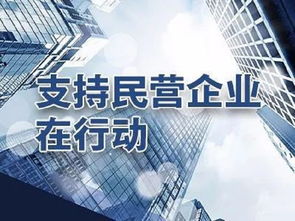 中国民营企业发展海外战略，全球热点——聚焦中国民营企业加速‘出海’的变革与共赢