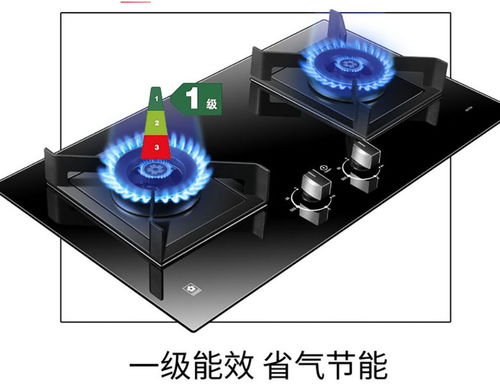 关于燃气灶的室内空气质量影响：一项科学研究的启示