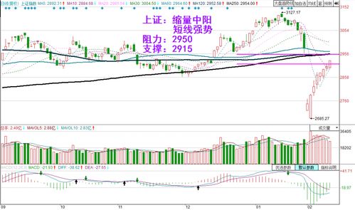 三大指数涨势喜人，全市场逾4500股强势上涨，合成生物板块狂飙突进