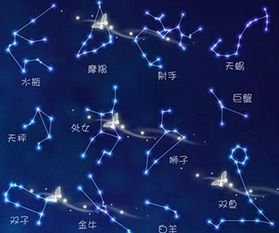 苏珊米勒5月6日至5月12日星座运势详细解析