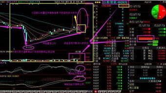 三大工程机械龙头净利增速再现正轨，盈利能力稳健增长