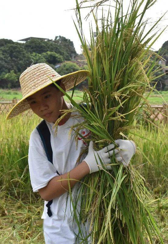 以多抓鱼模式收割艺术青年：从二手书到服装的利润大揭秘