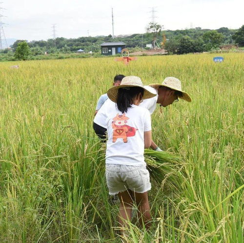 以多抓鱼模式收割艺术青年：从二手书到服装的利润大揭秘