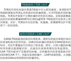 科学家提出新的免疫系统修复方案：重建衰老造血系统活力的途径