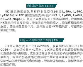 科学家提出新的免疫系统修复方案：重建衰老造血系统活力的途径