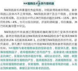 科学家提出新的免疫系统修复方案：重建衰老造血系统活力的途径