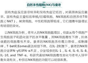 科学家提出新的免疫系统修复方案：重建衰老造血系统活力的途径