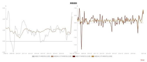 美联储继续按兵不动，未来将逐步调整量化宽松政策路径