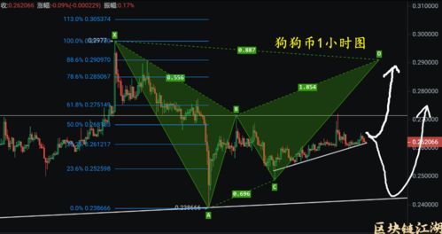 加密牛市新趋势：比特币与以太坊的波澜壮阔