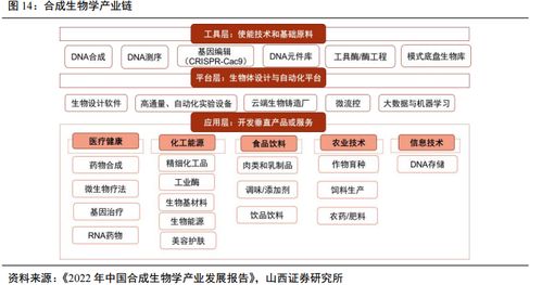 龙头解析：最新合成生物核心龙头股榜单梳理